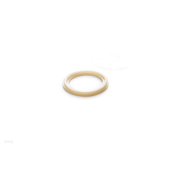 Anello Per Valvola Plunger 10745 INTEX