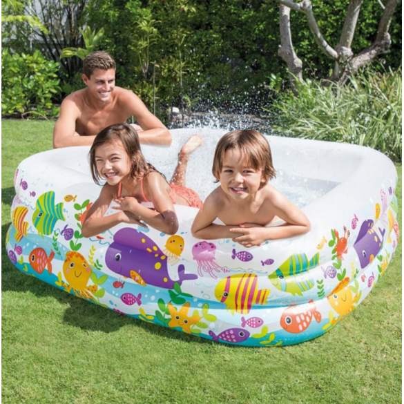 Piscina Acquario INTEX