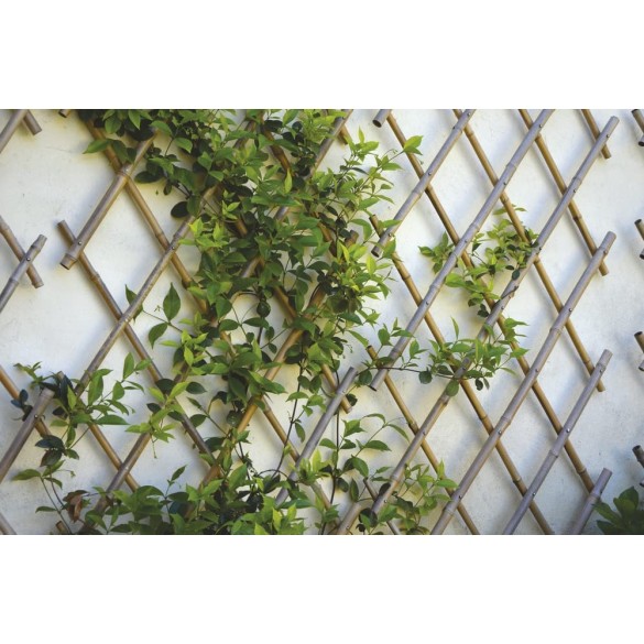 Traliccio estensibile regolabile 180x240 cm bamboo Verdelook