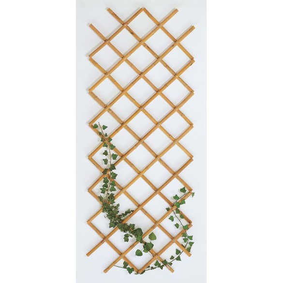 Traliccio estensibile regolabile 180x240 cm bamboo Verdelook