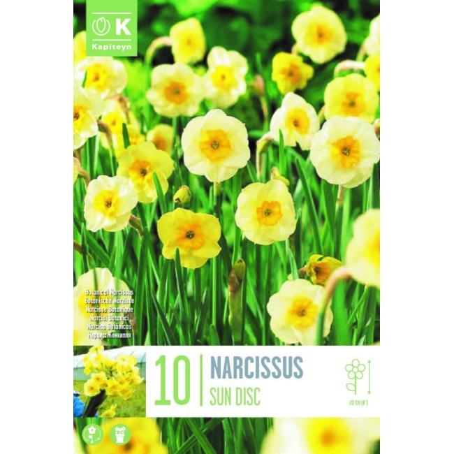 Bulbi di Narciso Sundisc 10 pz Kapiteyn