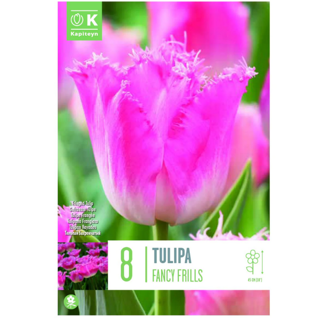 Bulbi di Tulipano Fringed Fancy...