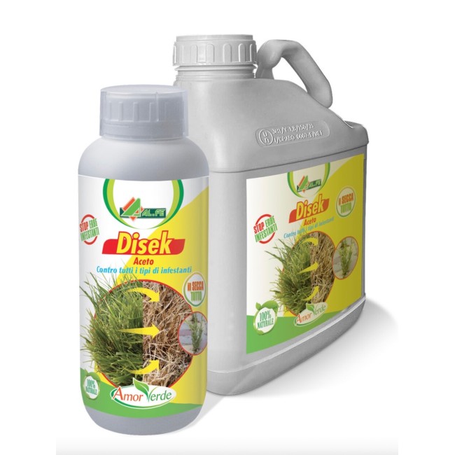 Aceto Concentrato Disek 5 LT Al.Fe