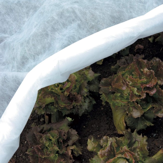 Telo Ortoclima Plus 2 x 20 mt 17 gr...