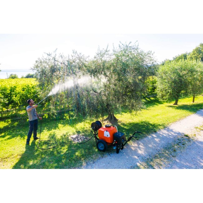 Pompa a Carriola a Batteria 100 LT...