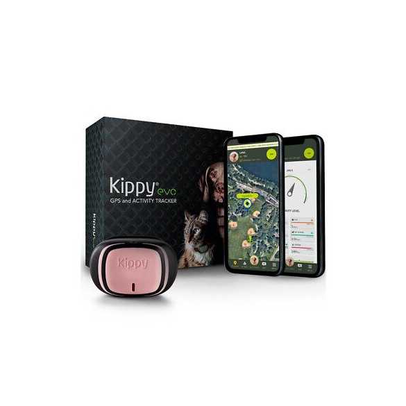 Collare GPS Cane&Gatto Pink Petal Kippy Evo