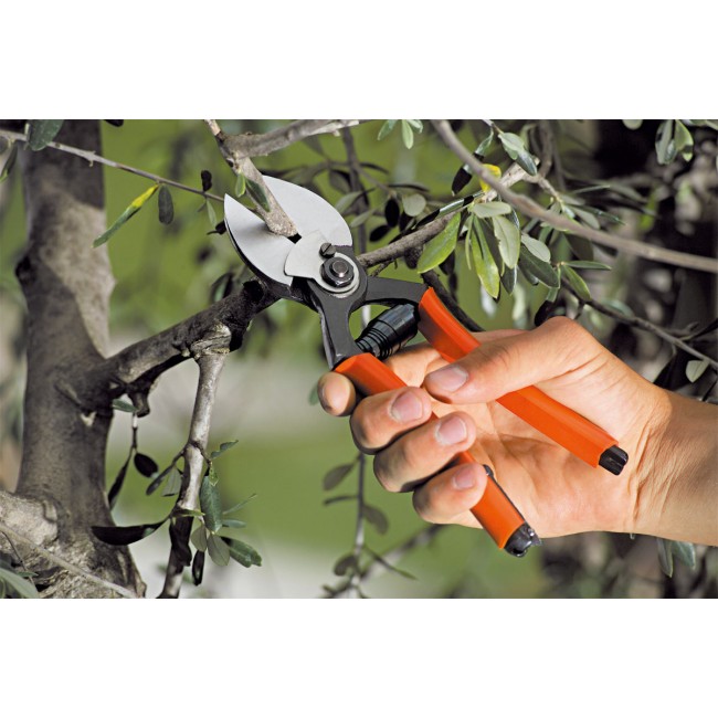 Forbice a doppio taglio 21 STOCKER