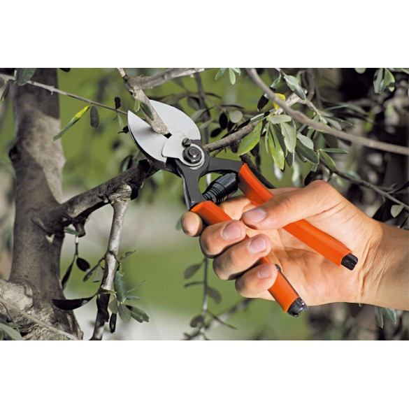 Forbice a doppio taglio 21 STOCKER