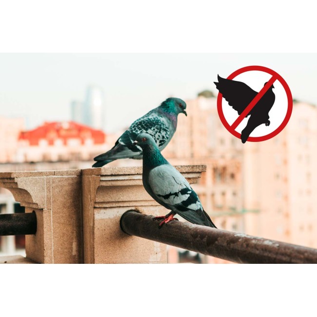 Geyser Nebulizzatore Mini 2 L per...