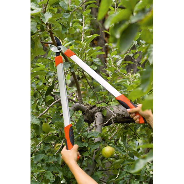 Troncarami Hobby 66 Amboss Stocker