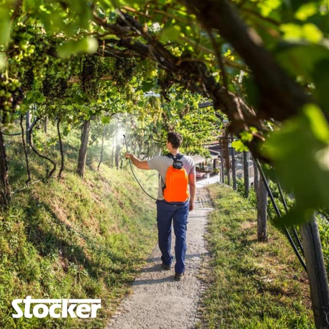 Pompa a zaino Elettrica 15 L Li-Ion 5...