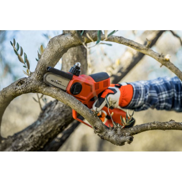 Motosega Magma E-100 LM 21 V  Stocker