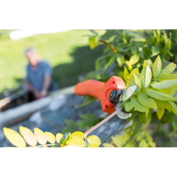 Forbice Kantia E-22 TR ad asta telescopica  Stocker