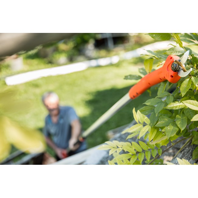 Forbice Kantia E-22 TR ad asta...