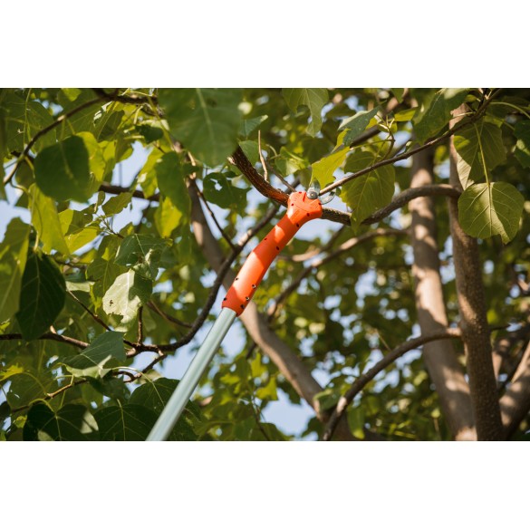 Forbice Kantia E-22 TR ad asta telescopica  Stocker