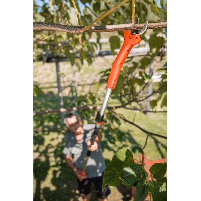 Forbice Kantia E-22 TR ad asta...