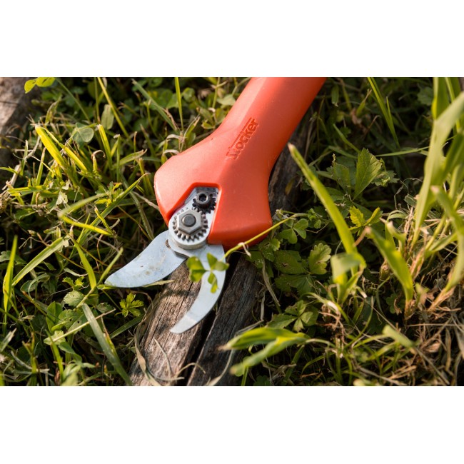 Forbice Kantia E-22 TR ad asta fissa...