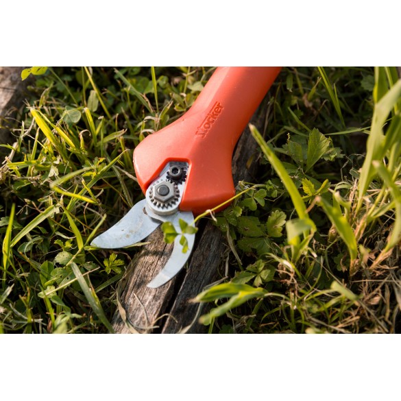 Forbice Kantia E-22 TR ad asta fissa Stocker