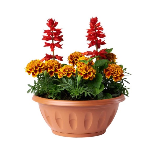 Ciotola Alba con Sottovaso Ø30  Grigio BAMA