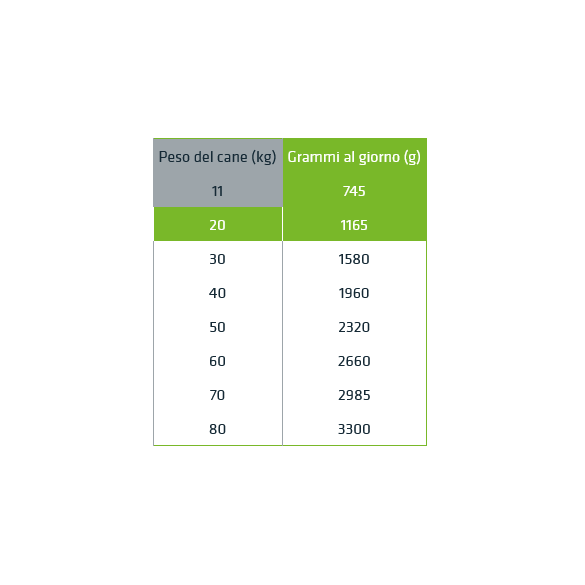 Umido Cane Natural Trainer M/M Manzo 400 gr