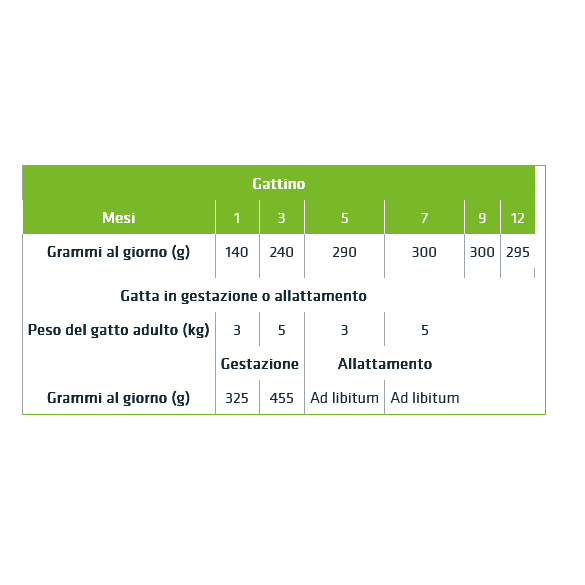 Umido Gatto Busta 85 gr Kitten Merluzzo Natural Trainer