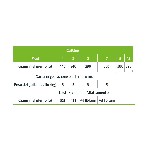 Umido Gatto Busta 85 gr Kitten Tonno...