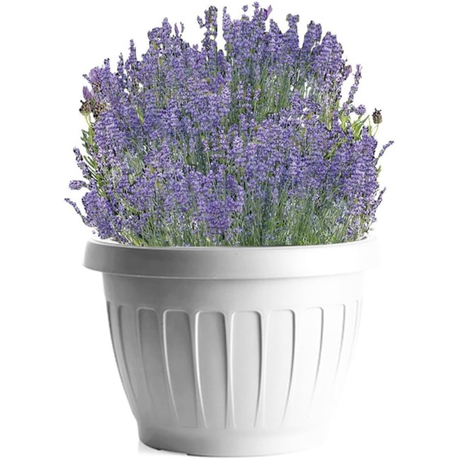 Vaso Terra Bianco D35 BAMA