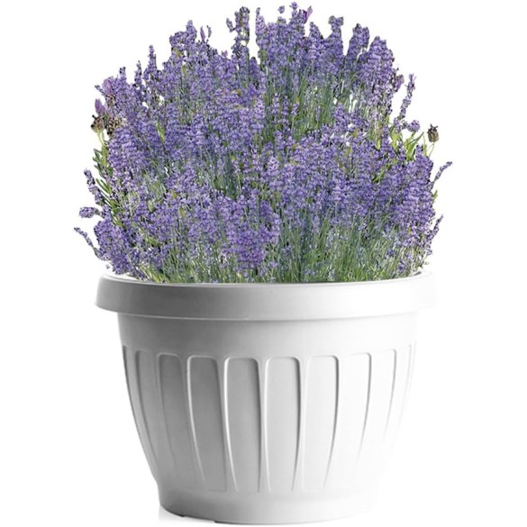 Vaso Terra Bianco D40 BAMA