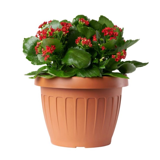 Vaso Terra Cotto D50 BAMA