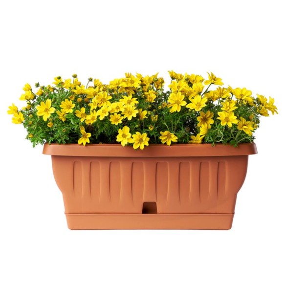 Fioriera Natura Cotto con Sottovaso 20 cm BAMA