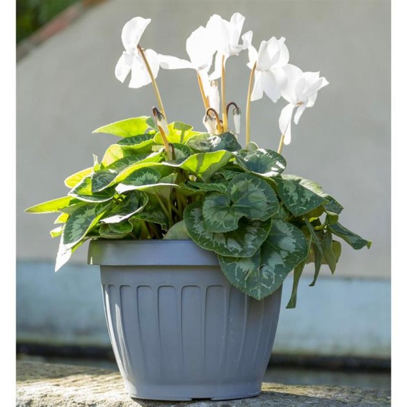 Vaso Terra Grigio D25 BAMA