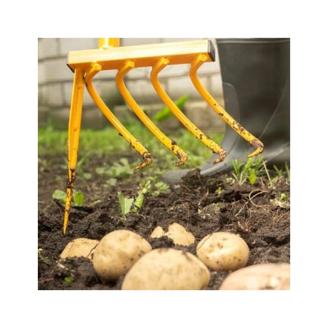 Forca Scavapatate TORNADICA