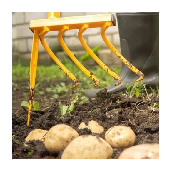 Forca Scavapatate TORNADICA