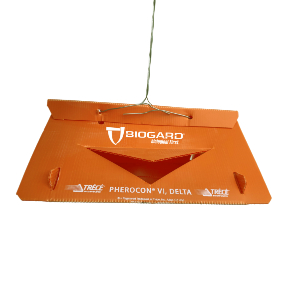 Kit 3 Trappole Universale a Delta per Carpocapsa Melo, Pero, Noce