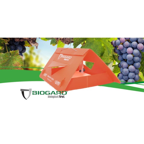 Kit 3 Trappole Universale a Delta per Carpocapsa Melo, Pero, Noce