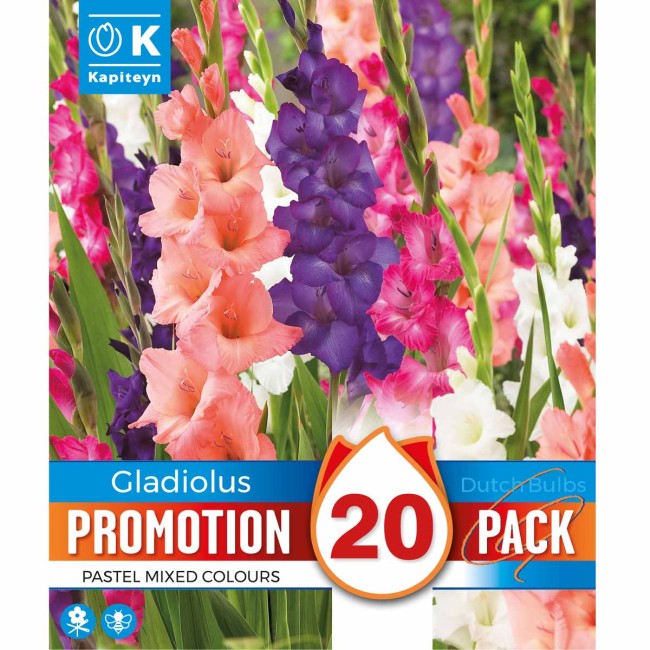 Gladiolo Pastel Mix 20 pz 12/14 KAPITEYN