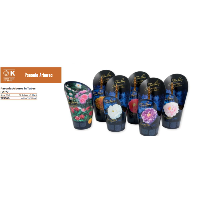 Peonia Arborea Colori Assortiti 1pz...
