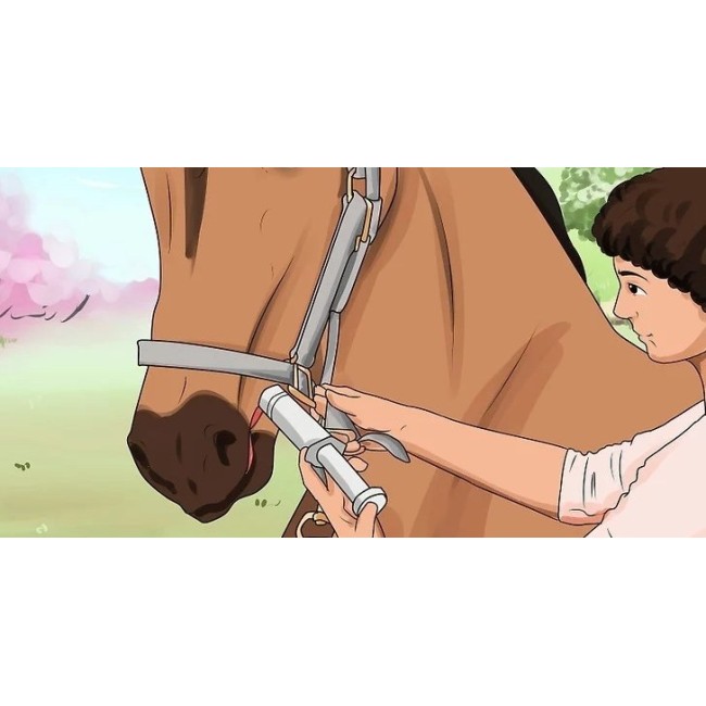 OFFERTA 2PZ - Svermihorse 2D siringa...