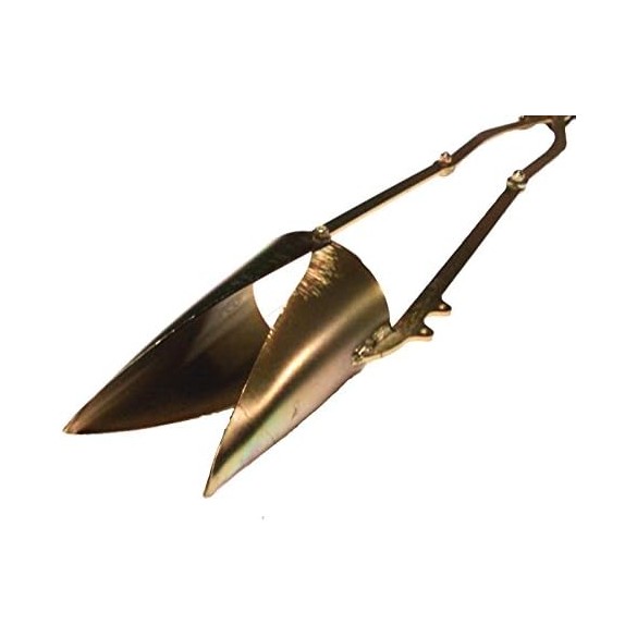 Pianta Ortaggi Cribbio Ueber