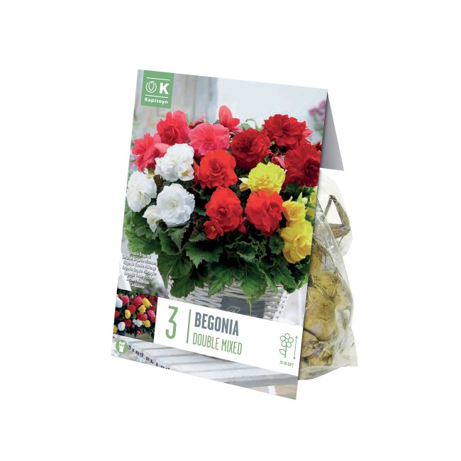 Bulbi di Begonia Begonia Mixed...