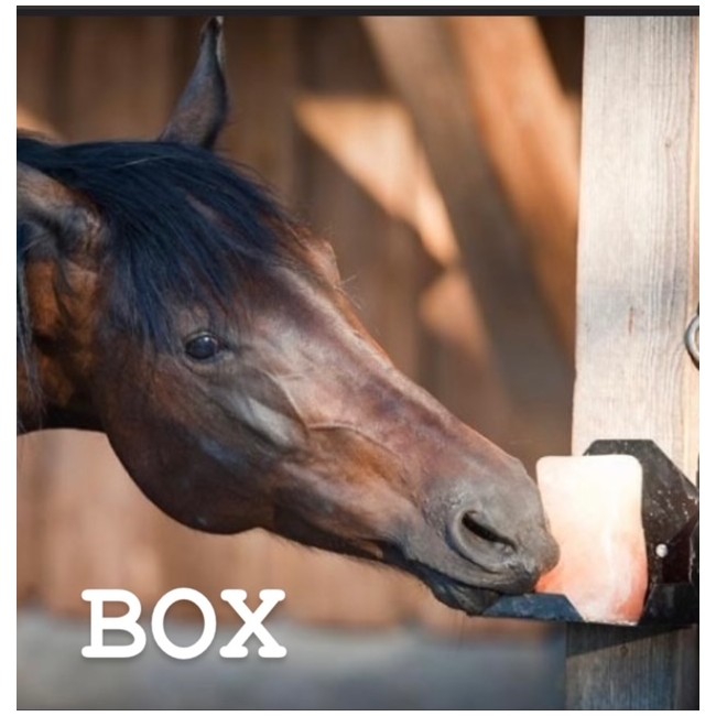 RULLO SALE ROSA 2.5KG