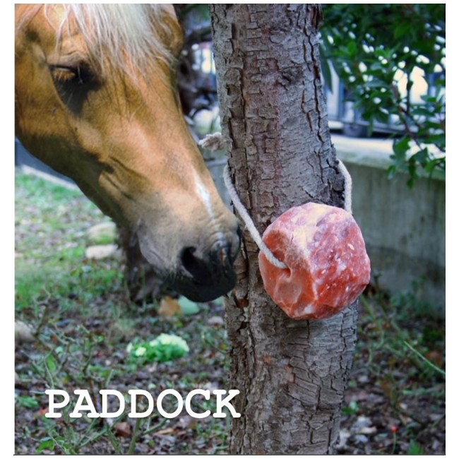 RULLO SALE ROSA 2.5KG