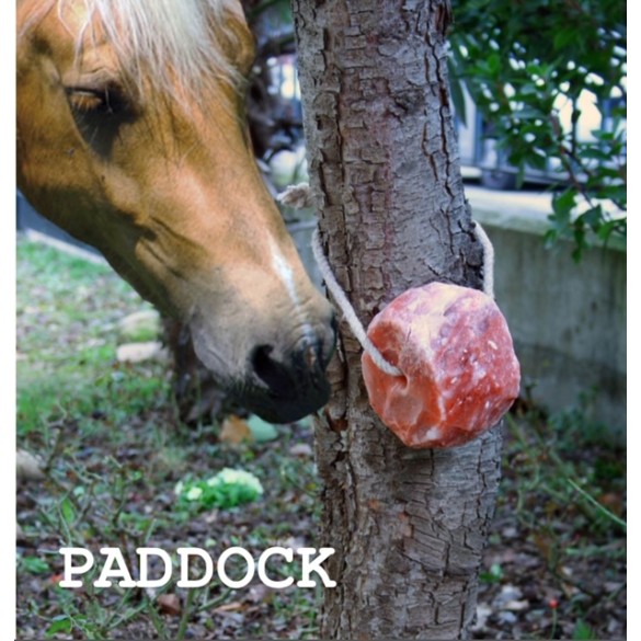 PROMO 3PZ - RULLO SALE ROSA 2.5KG