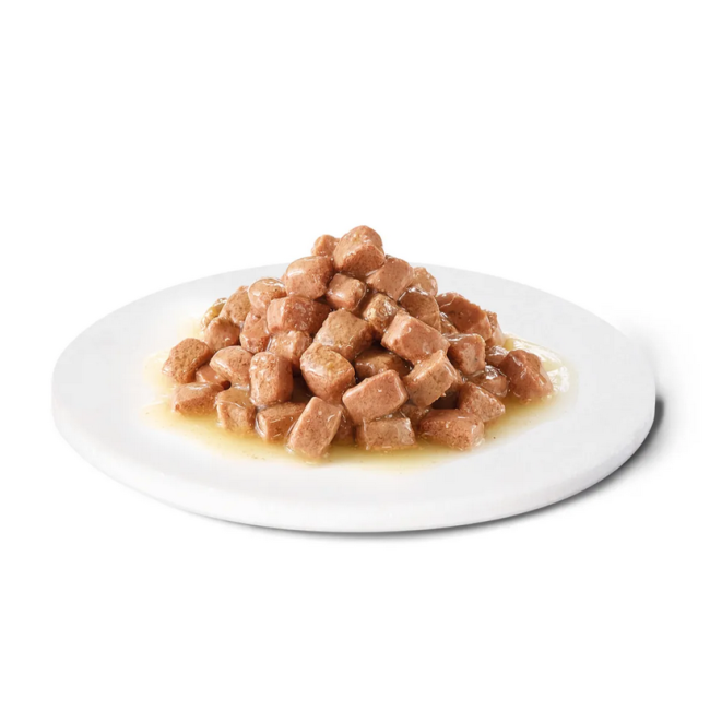 Cane&Gatto Advance 100gr Recovery