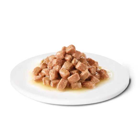 Cane&Gatto Advance 100gr Recovery