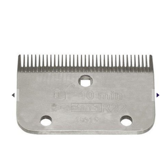 Set Lame Ricambio per Tosatrice Constata R22