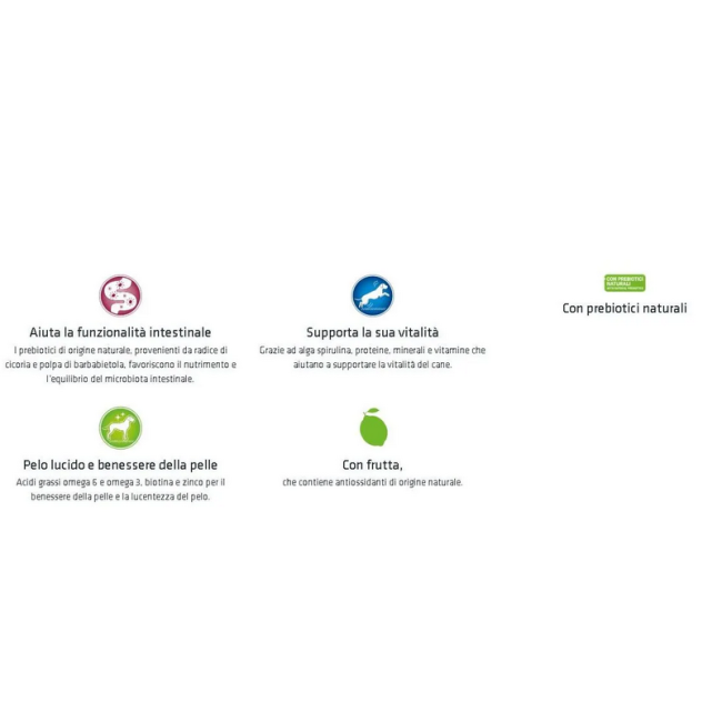 Natural Trainer Adult Medium 12kg...