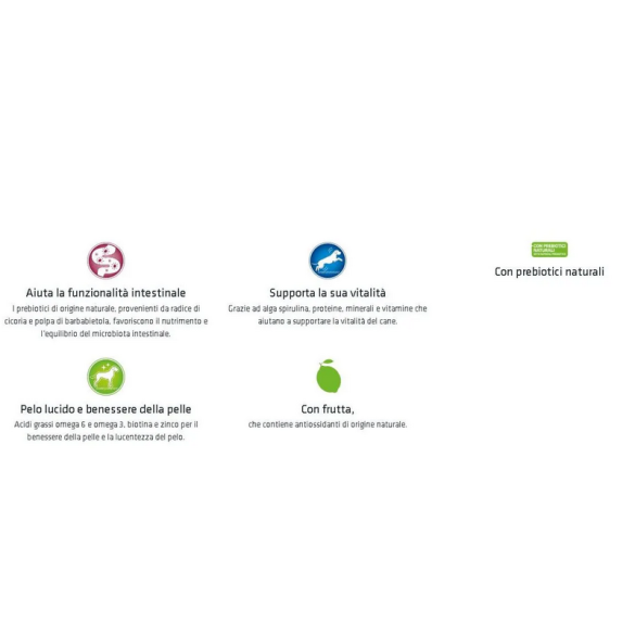 Natural Trainer Adult Medium 12kg Pollo&Riso