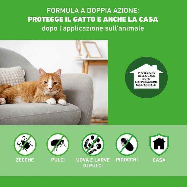 Frontline Combo Spot-on Gatti 6pz