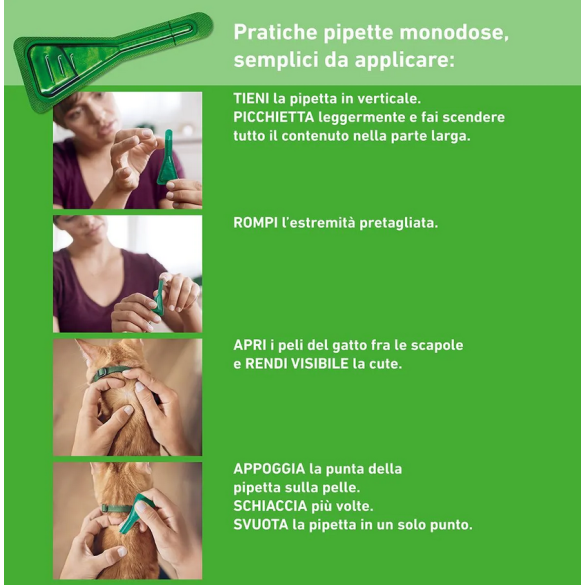 Frontline Combo Spot-on Gatti 6pz